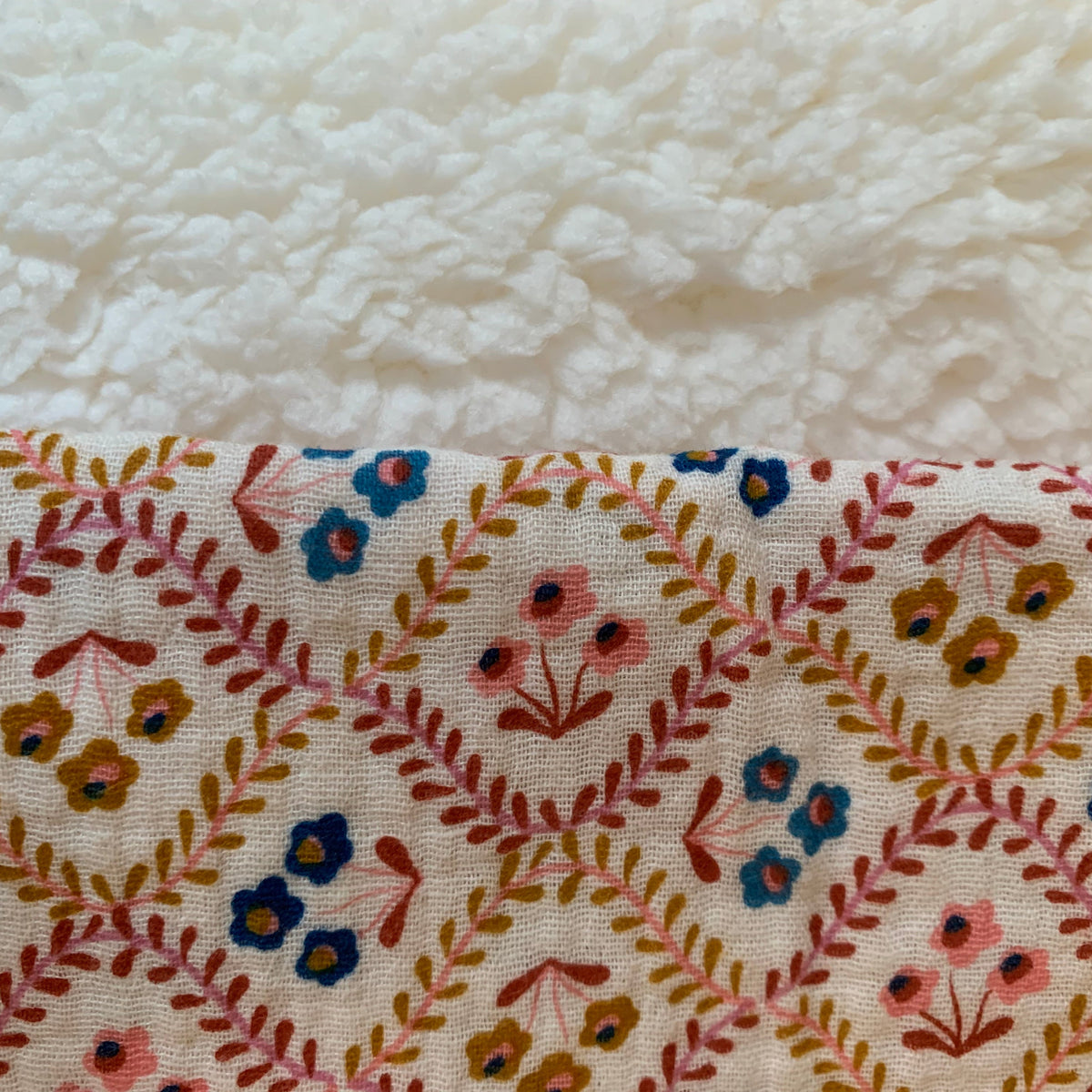 Couverture Gaze et Moumoutte